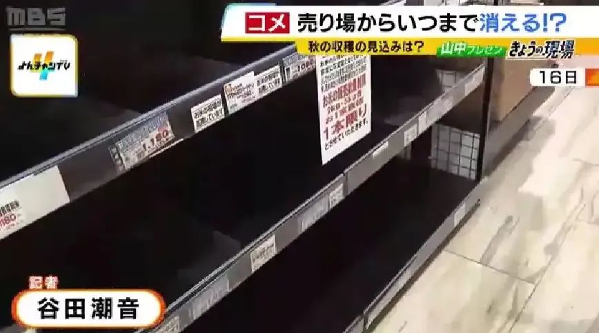 日本“米骚动”,米到哪里去了? 日本“米骚动”,米到哪里去了?