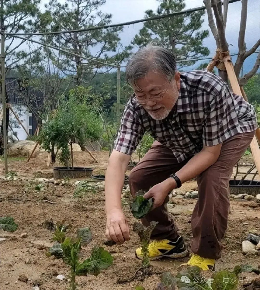 魔咒再次降临!女儿被查,文在寅也悬了 魔咒再次降临!女儿被查,文在寅也悬了