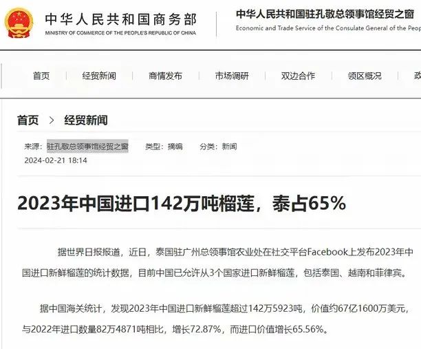 菲律宾流下了悔恨的泪水:榴莲滞销! 菲律宾流下了悔恨的泪水:榴莲滞销!