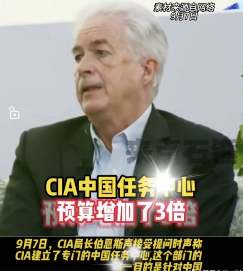 16亿狗粮,能养多少狗? 16亿狗粮,能养多少狗?