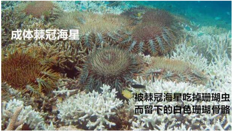 菲律宾撤走非法船只——美帝算盘落空,中国策略遭曝光 菲律宾撤走非法船只——美帝算盘落空,中国策略遭曝光