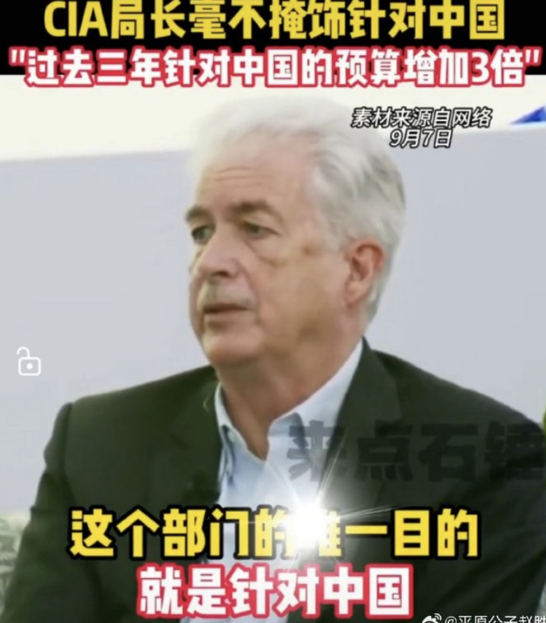 16亿狗粮,能养多少狗? 16亿狗粮,能养多少狗?