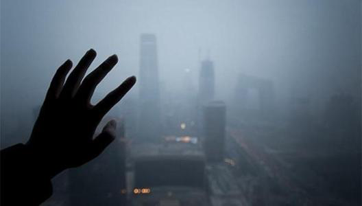 美国很忙,像一头作死的驴 美国很忙,像一头作死的驴