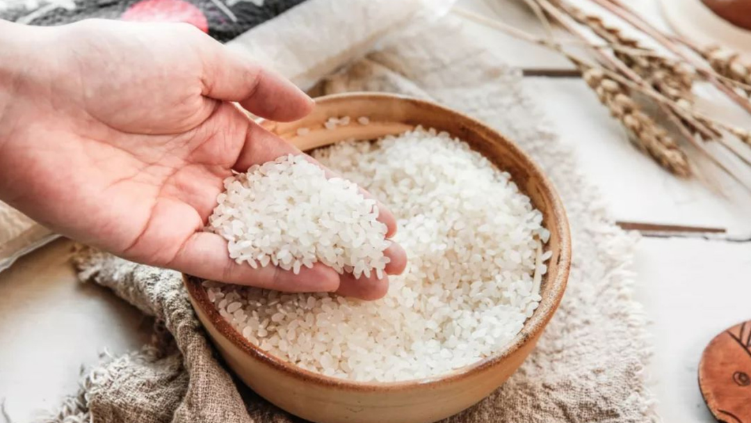 警告!日本米荒或引爆全球最血腥粮食战争! 警告!日本米荒或引爆全球最血腥粮食战争!