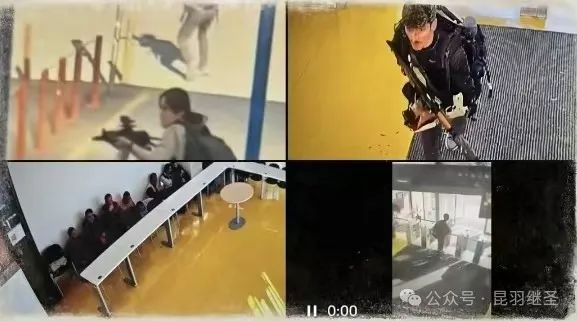 时局微妙,龙国进行了末日实验 时局微妙,龙国进行了末日实验