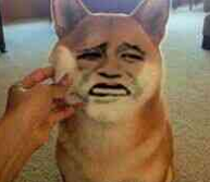 被导弹洗地后,以色列离“引爆全球”又近了一步 被导弹洗地后,以色列离“引爆全球”又近了一步