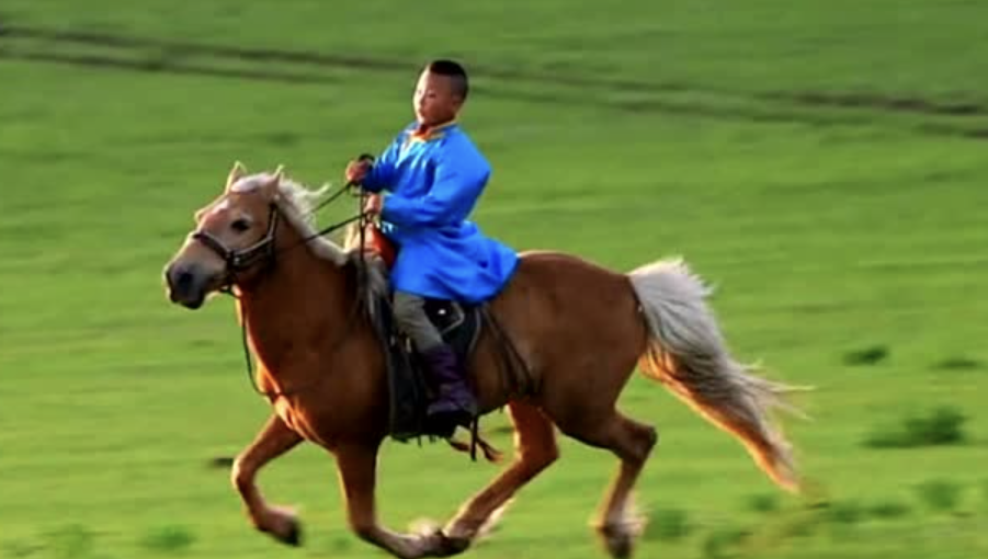 中国有没有汽车文化?新能源有没有驾驶乐趣? 中国有没有汽车文化?新能源有没有驾驶乐趣?