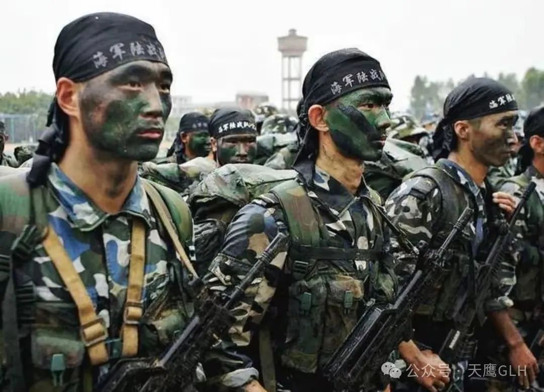 新武器加入,解放军海军陆战队战力将提升多少? 新武器加入,解放军海军陆战队战力将提升多少?