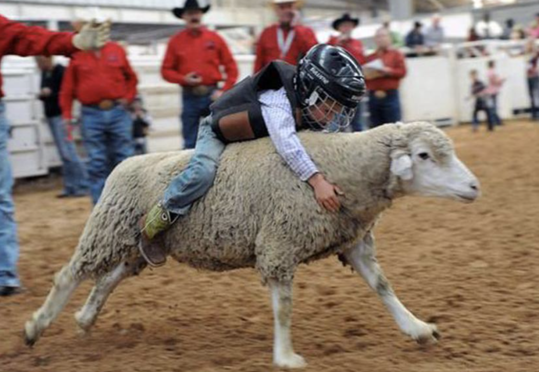 中国有没有汽车文化?新能源有没有驾驶乐趣? 中国有没有汽车文化?新能源有没有驾驶乐趣?