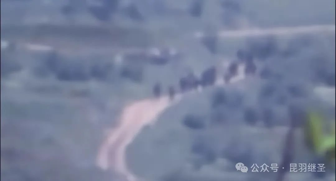 世界都想喝中药 世界都想喝中药