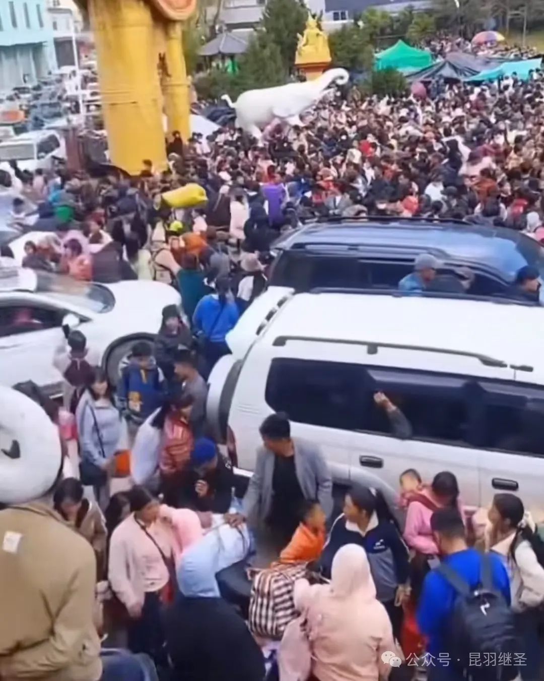 风暴前夕：有人被坑，黑手被迫动用险棋