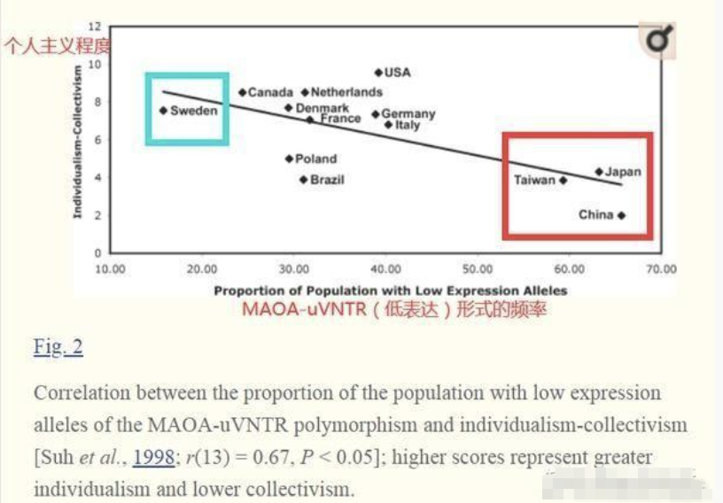 中国人的“战士基因” 中国人的“战士基因”