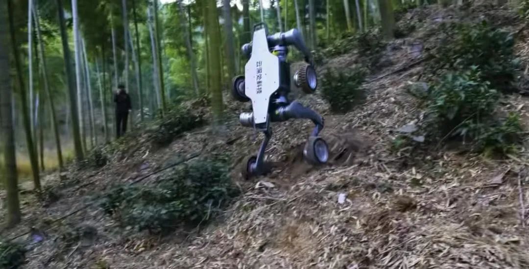 救亡图存:脱下孔乙己的长衫,美国要走具有中国特色的道路 救亡图存:脱下孔乙己的长衫,美国要走具有中国特色的道路