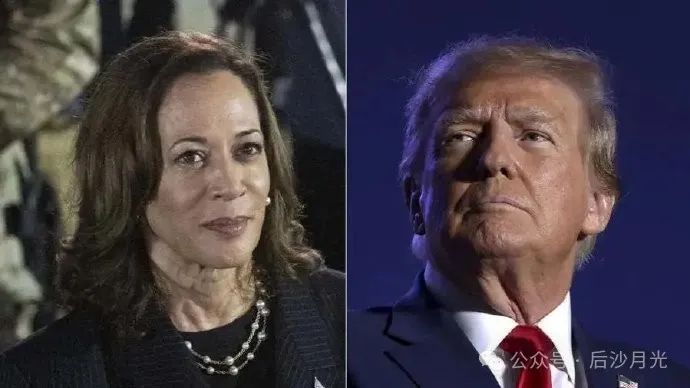 即将开票!特朗普将重返白宫,但哈里斯也有机会 即将开票!特朗普将重返白宫,但哈里斯也有机会