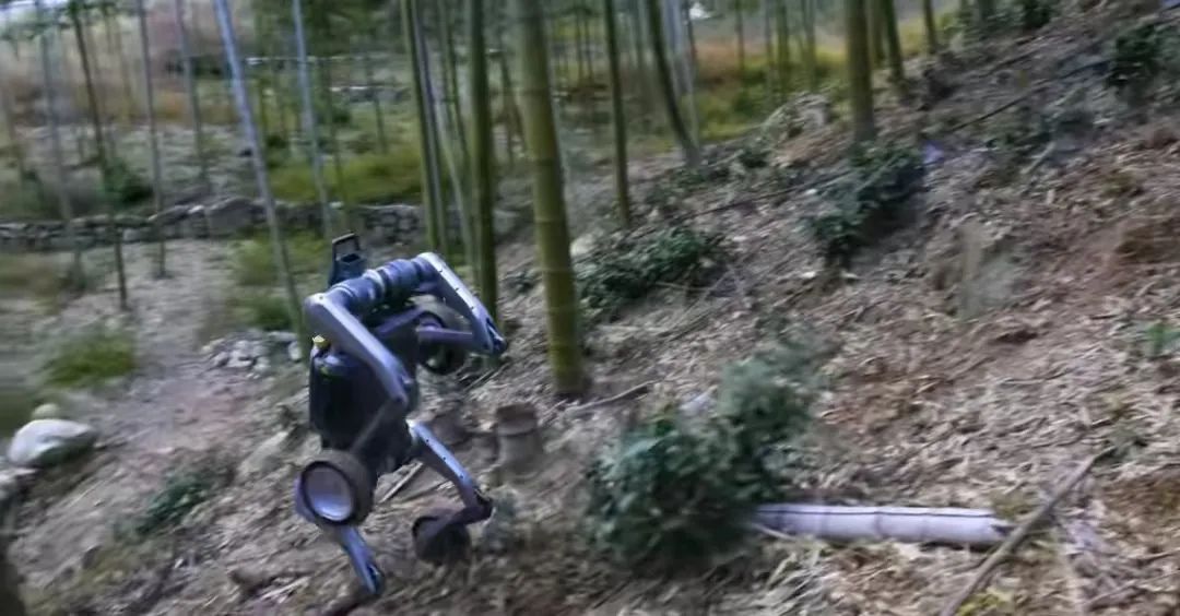 救亡图存:脱下孔乙己的长衫,美国要走具有中国特色的道路 救亡图存:脱下孔乙己的长衫,美国要走具有中国特色的道路