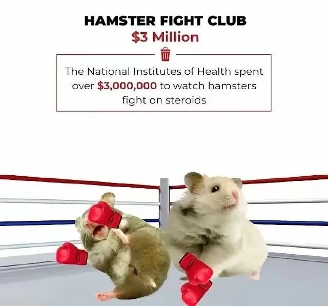 在美国的衰败中,进击的龙国乘风破浪 在美国的衰败中,进击的龙国乘风破浪