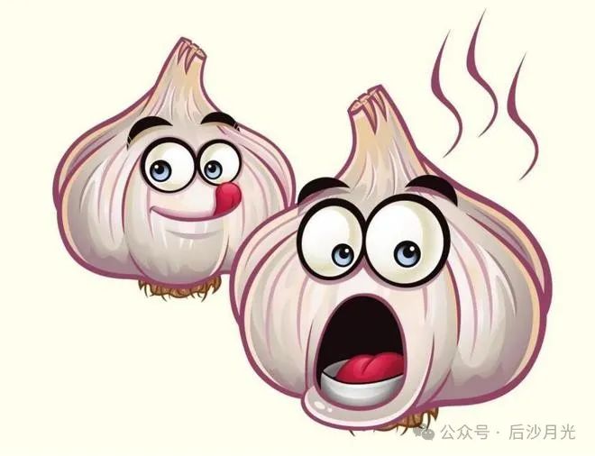 严肃点,不要笑,中国大蒜为何会威胁美国安全? 严肃点,不要笑,中国大蒜为何会威胁美国安全?