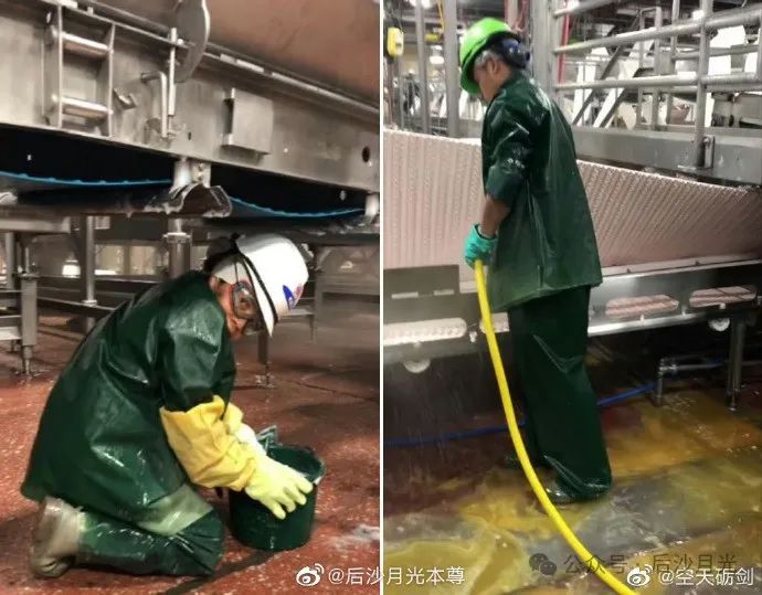 严肃点,不要笑,中国大蒜为何会威胁美国安全? 严肃点,不要笑,中国大蒜为何会威胁美国安全?