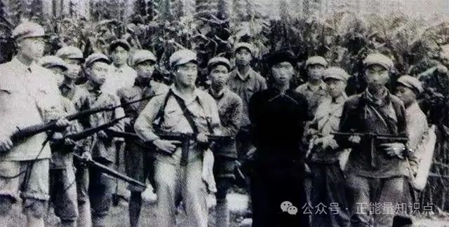 4年剿匪260万,没有飞机大炮,新中国如何拔除千年病根? 4年剿匪260万,没有飞机大炮,新中国如何拔除千年病根?