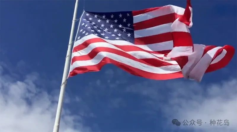 TikTok难民带给美国人的三大震撼! TikTok难民带给美国人的三大震撼!