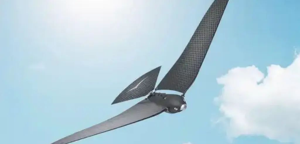 多国邀请建军事基地被拒,中国说我要建到天上去 多国邀请建军事基地被拒,中国说我要建到天上去