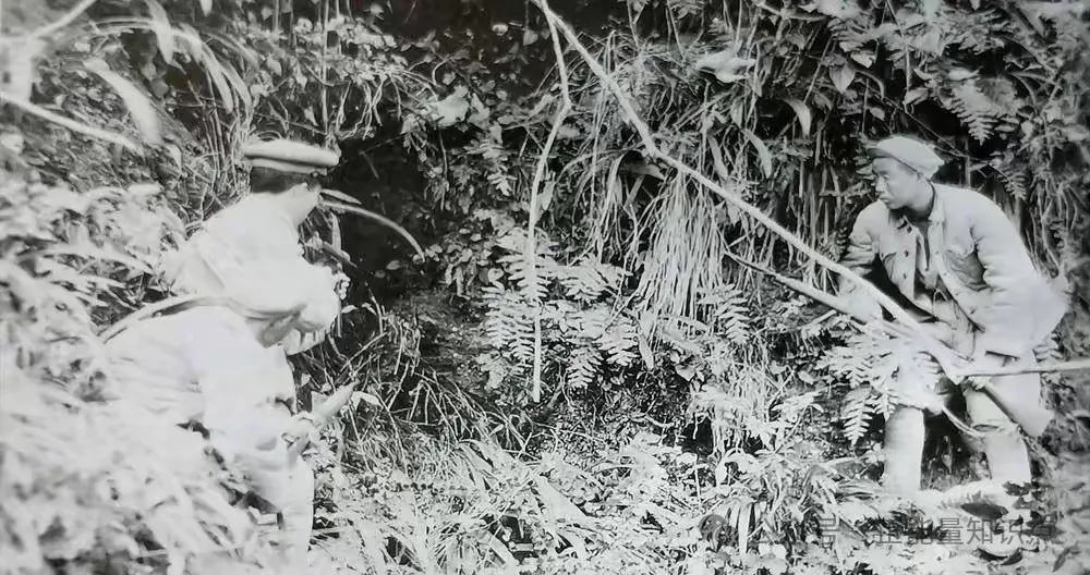 4年剿匪260万,没有飞机大炮,新中国如何拔除千年病根? 4年剿匪260万,没有飞机大炮,新中国如何拔除千年病根?