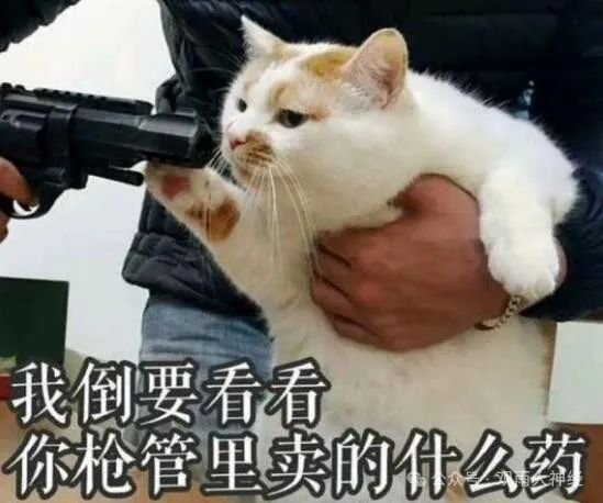 跨年唠嗑:这一年,我们是成是败? 跨年唠嗑:这一年,我们是成是败?