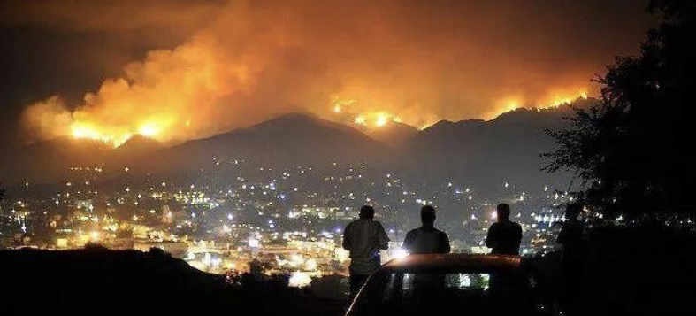 加州大火，是人性的扭曲，还是道德的沦丧？