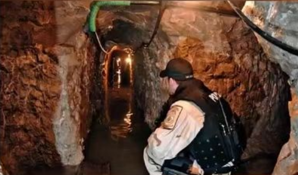 该来的,快来了 该来的,快来了