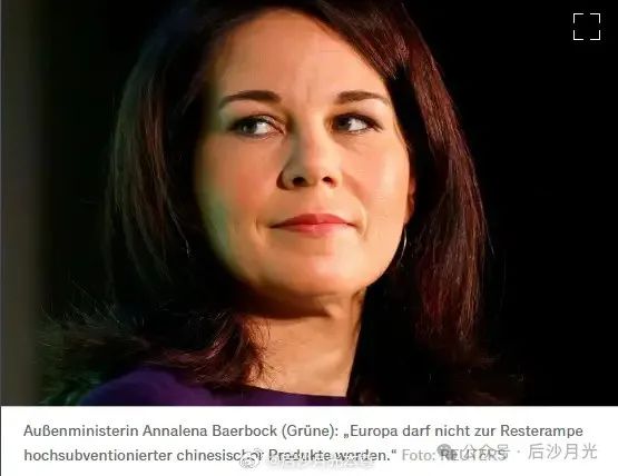 德国热闹极了,马斯克再度介入德国大选! 德国热闹极了,马斯克再度介入德国大选!