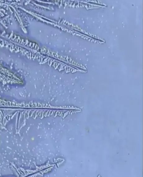 老美苦心经营的科技神话，又被龙国戳破了