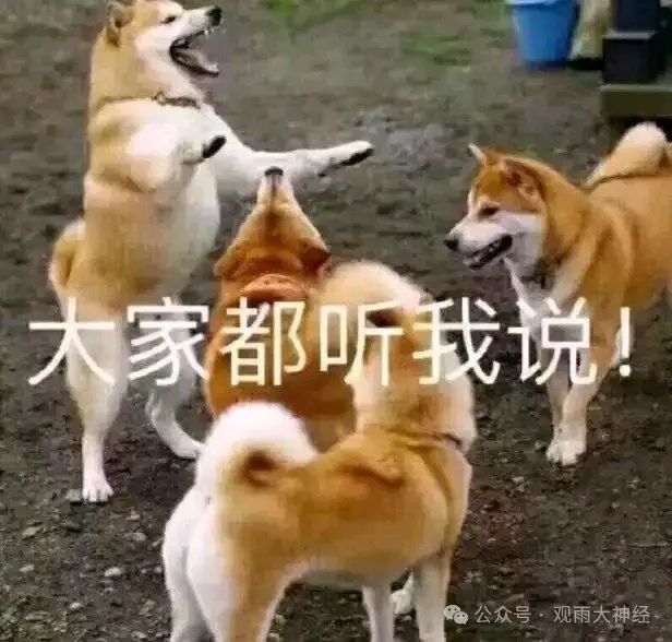 跨年唠嗑:这一年,我们是成是败? 跨年唠嗑:这一年,我们是成是败?