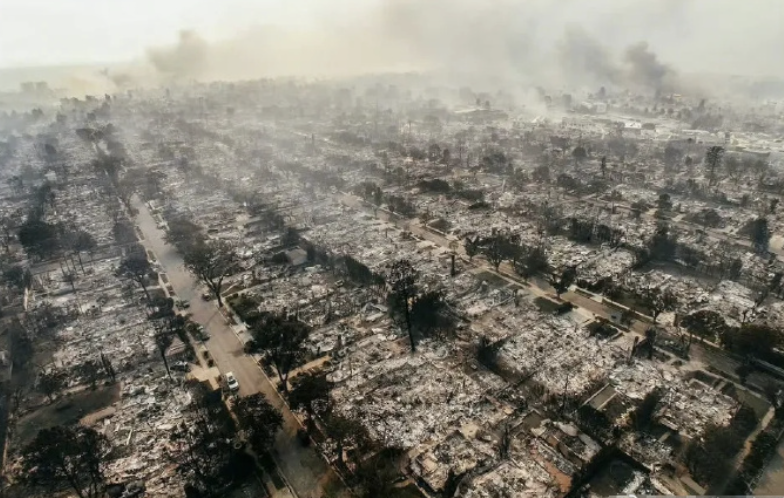 加州大火，是人性的扭曲，还是道德的沦丧？