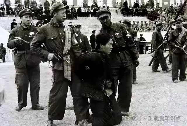 4年剿匪260万,没有飞机大炮,新中国如何拔除千年病根? 4年剿匪260万,没有飞机大炮,新中国如何拔除千年病根?