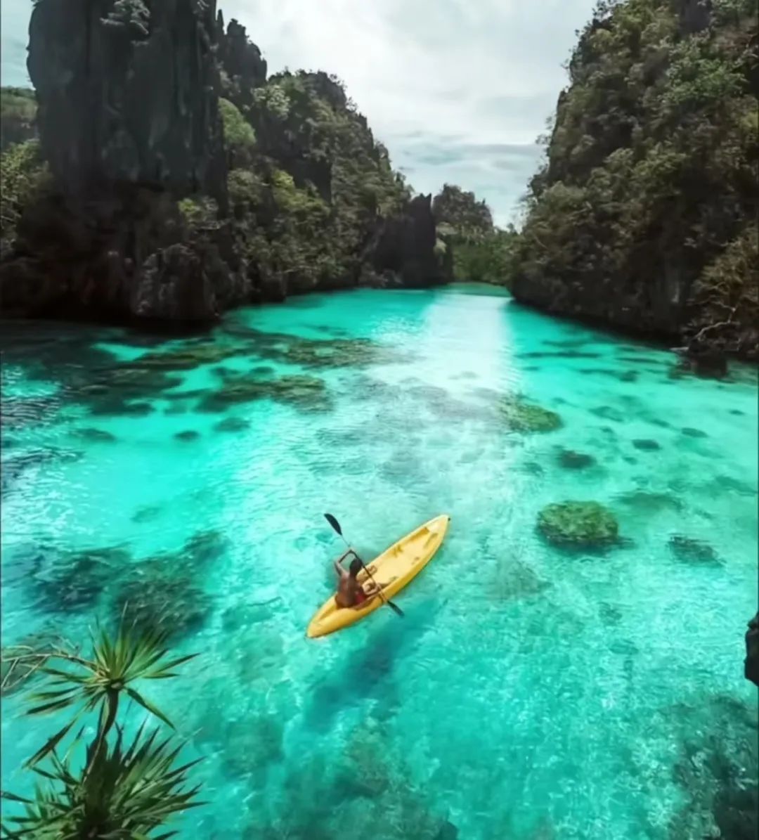 春节不撒烧烤料,撒点猛料 春节不撒烧烤料,撒点猛料