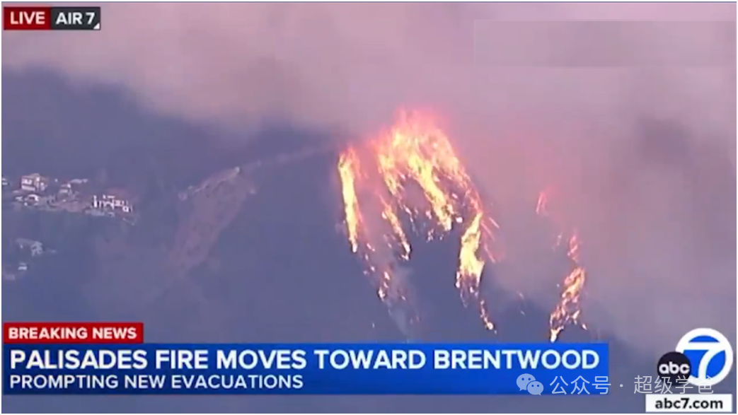 要了亲命了!山火克星表示:如果我在洛杉矶…… 要了亲命了!山火克星表示:如果我在洛杉矶……