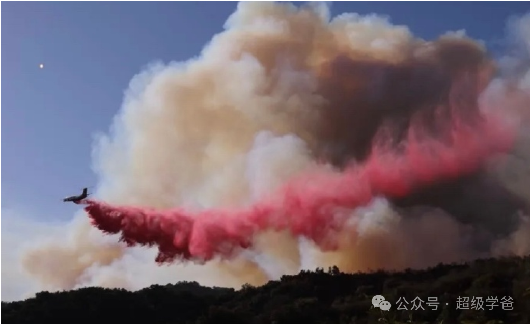 要了亲命了!山火克星表示:如果我在洛杉矶…… 要了亲命了!山火克星表示:如果我在洛杉矶……