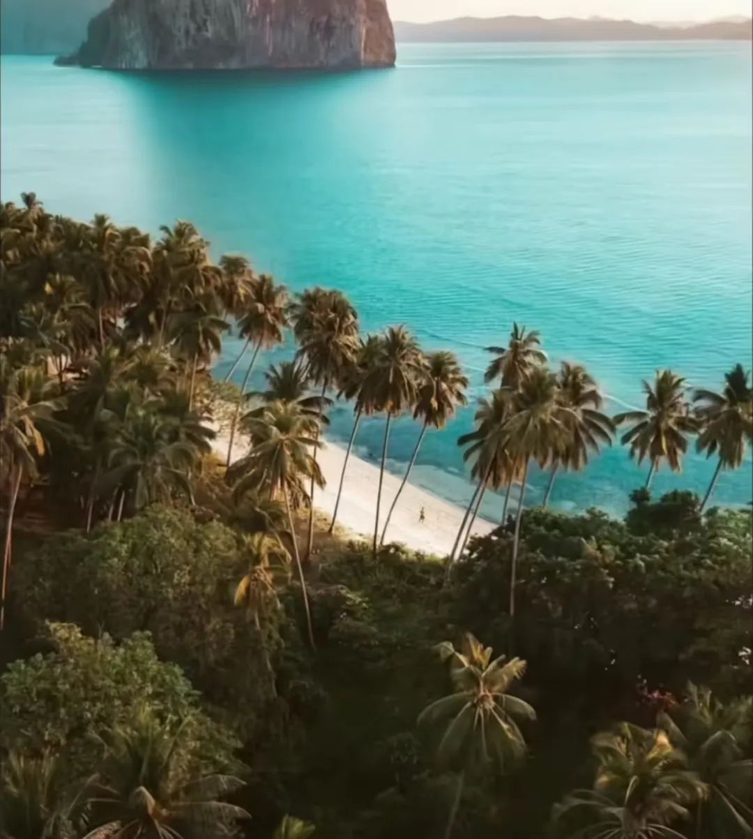 春节不撒烧烤料,撒点猛料 春节不撒烧烤料,撒点猛料