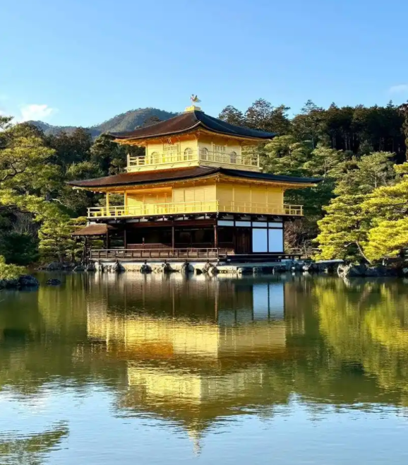 关键时刻，隐藏的秘密都浮出水面了