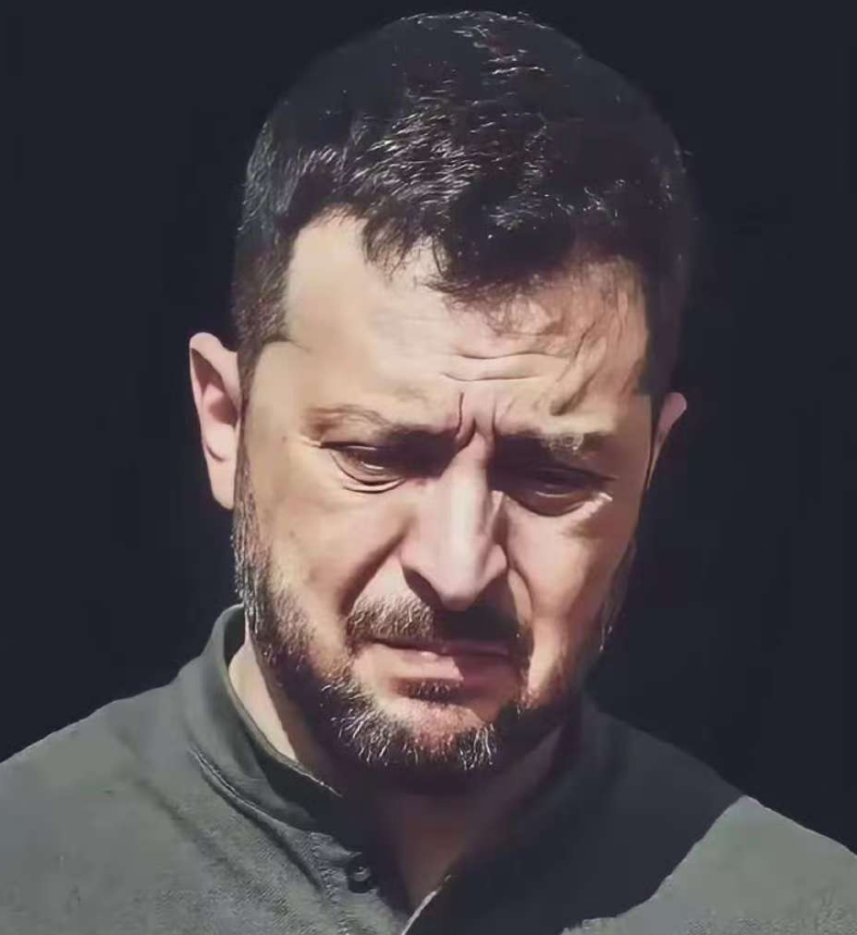 乌克兰不值得同情! 乌克兰不值得同情!