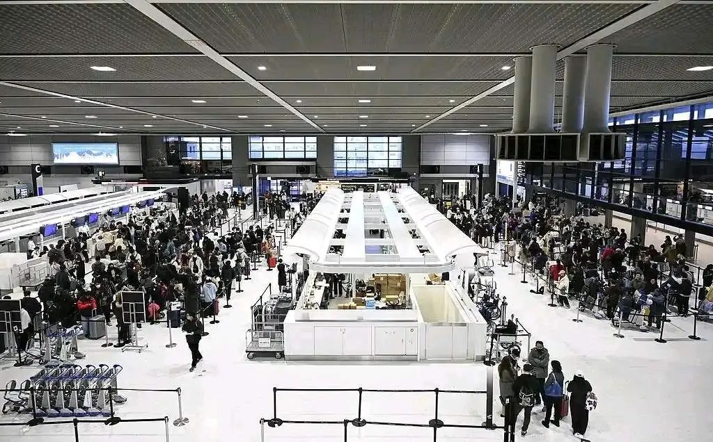 大S去世，日本这次流感有多猛？