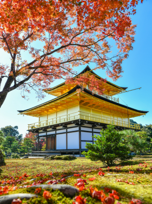 关键时刻，隐藏的秘密都浮出水面了