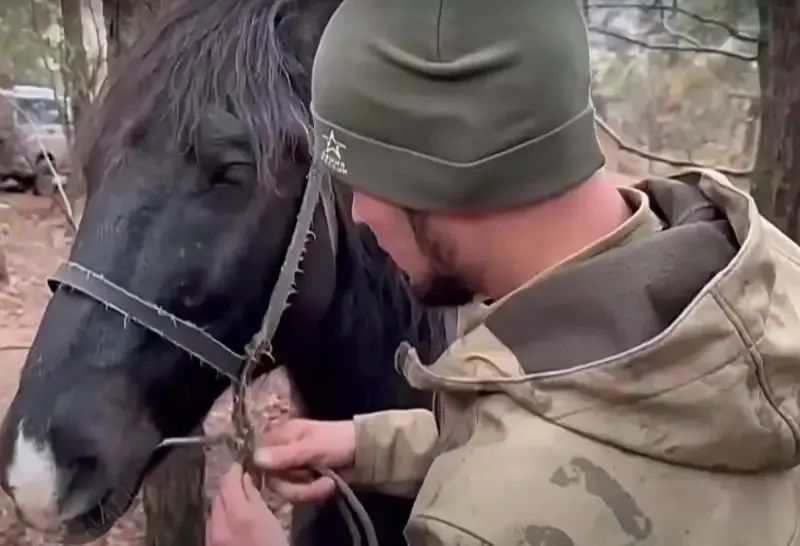 战马重上前线,俄军企图重返赫尔松! 战马重上前线,俄军企图重返赫尔松!