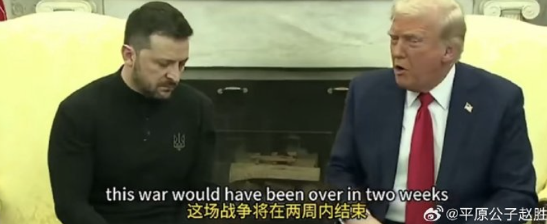 狗和狗主人咬了起来！