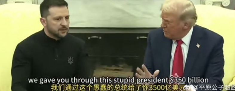 狗和狗主人咬了起来！