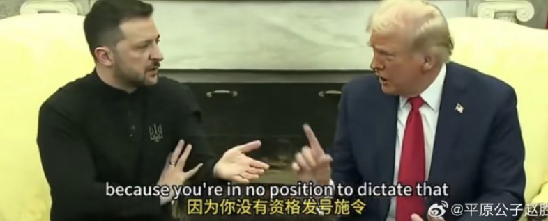 狗和狗主人咬了起来！