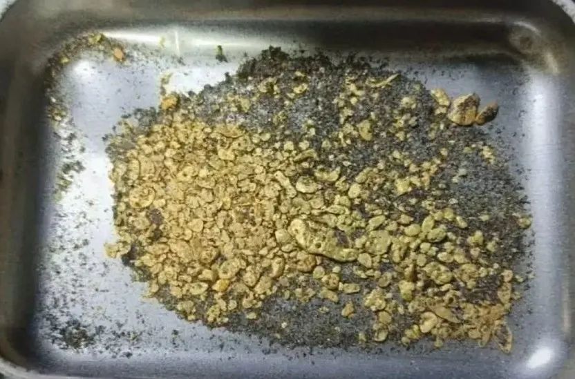 六代机骗局? 六代机骗局?