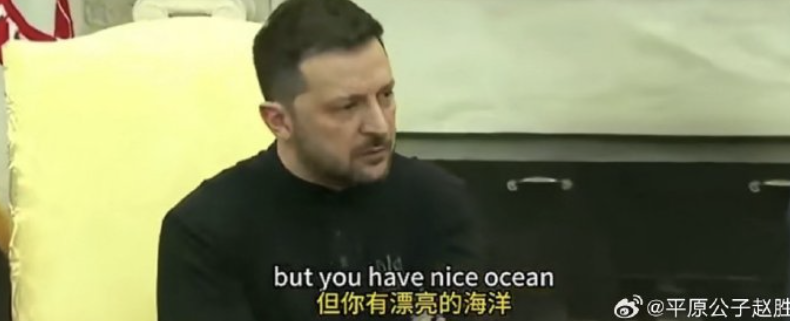 狗和狗主人咬了起来！