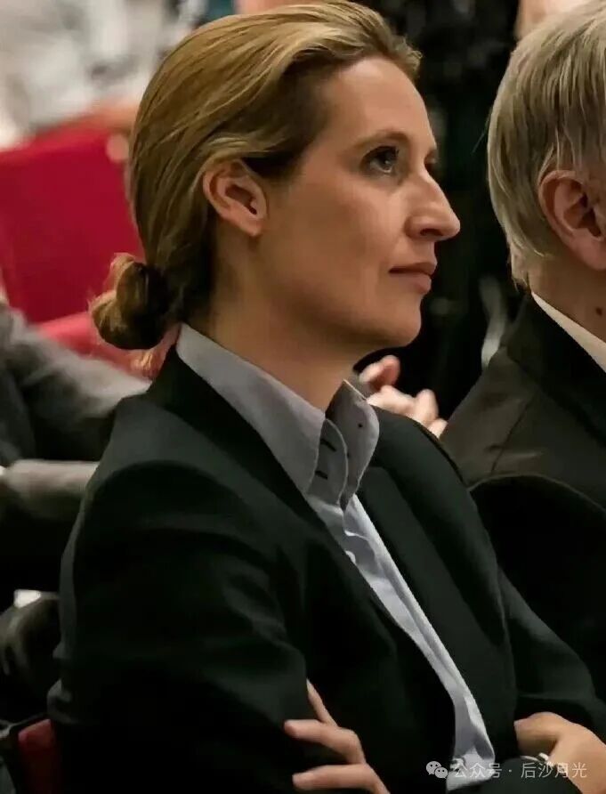 干得漂亮，德国又炸发电厂！