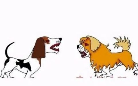 中日韩三国领导人会谈为何中断？